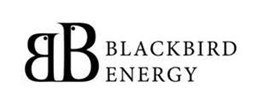 Blackbird Energy Inc.