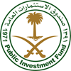 The Public Investment Fund