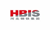 HBIS Group Co. Ltd. 