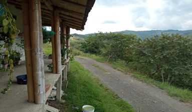 Agricultural and Livestock Farm in Buga Vereda Soncito