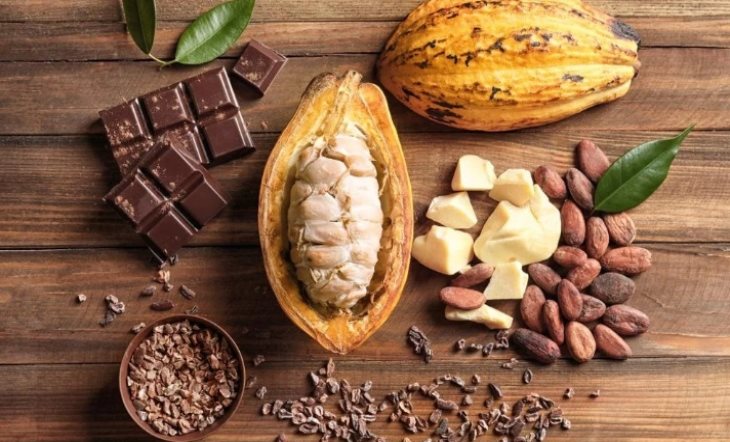 Ivory Coast's SCOOPRANYD To Invest $10.5M in Cocoa Plant